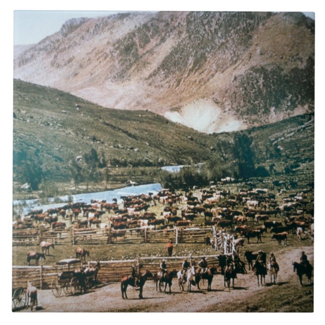 Nötkreaturranch, Colorado, 1899 (fotoet) Kakelplatta (Framsidan)