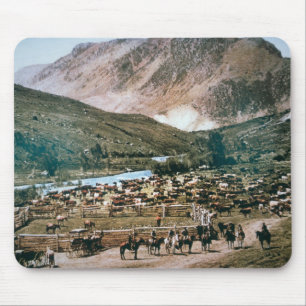 Nötkreaturranch, Colorado, 1899 (fotoet) Musmatta