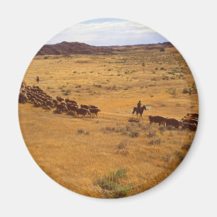 Nötkreaturroundup Magnet