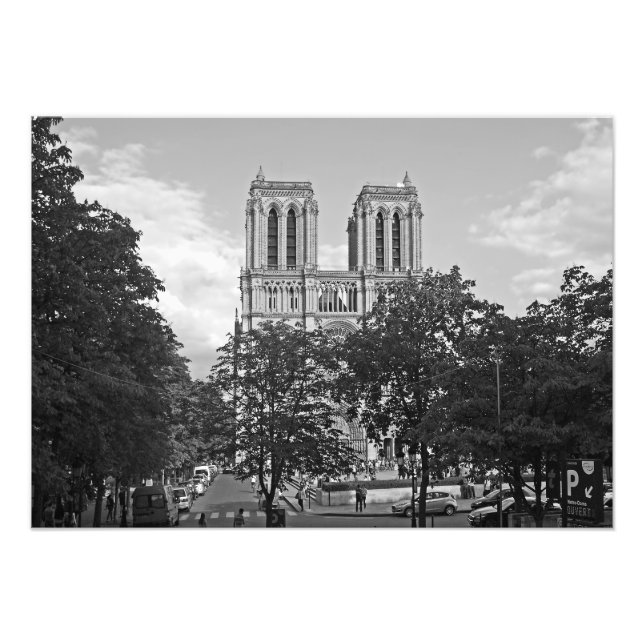 Notre Dame de Paris i träd Fototryck (Framsidan)
