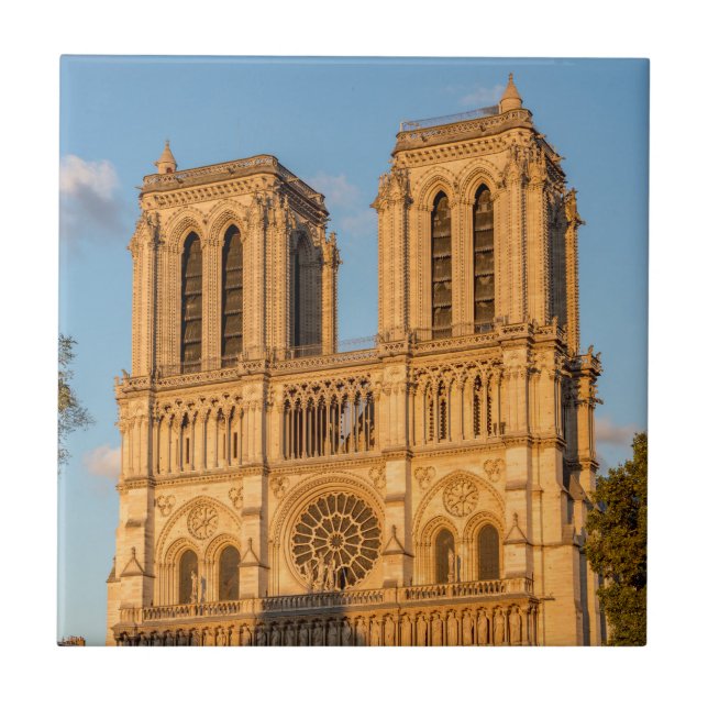 Notre Dame de Paris vid Golden Hour - Paris, Frank Kakelplatta (Framsidan)