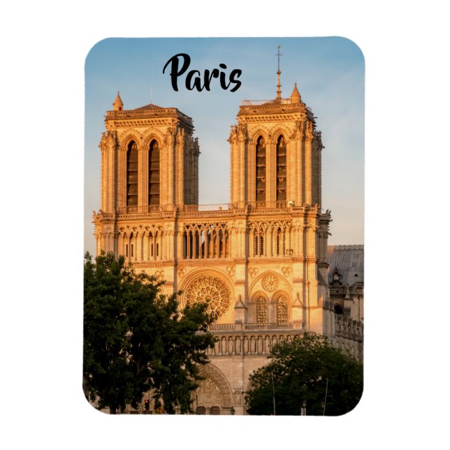 Notre Dame de Paris vid Golden Hour - Paris, Frank Magnet (Vertikal)