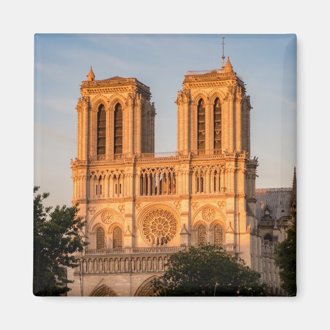 Notre Dame de Paris vid Golden Hour - Paris, Frank Magnet (Framsidan)