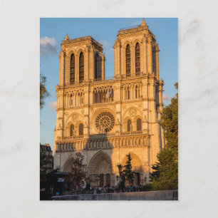 Notre Dame de Paris vid gyllene timmen - Paris, Fr Vykort
