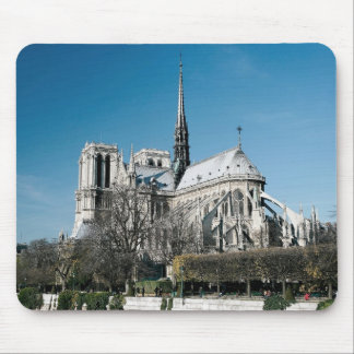 Notre Dame domkyrka Musmatta