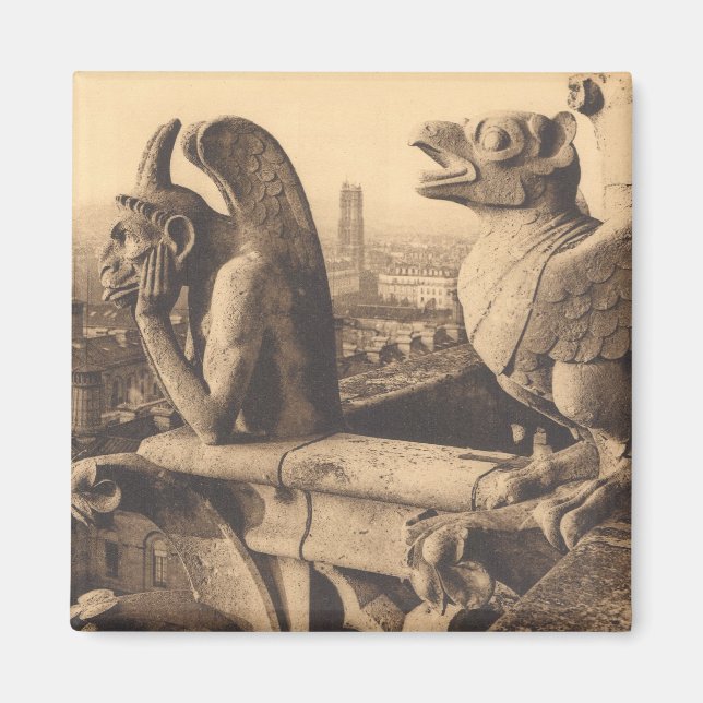 Notre Dame Gargoyle Magnet (Framsidan)