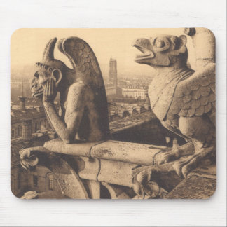 Notre Dame Gargoyle Musmatta