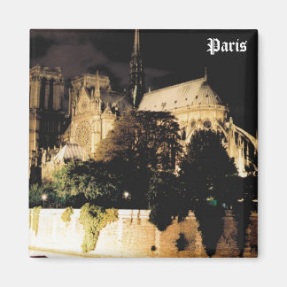 Notre Dame på natten. Paris, Frankrike. Magnet
