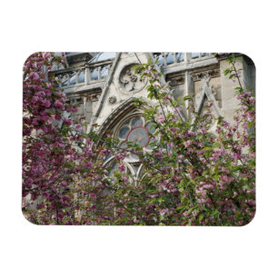 Notre Dame vår Magnet
