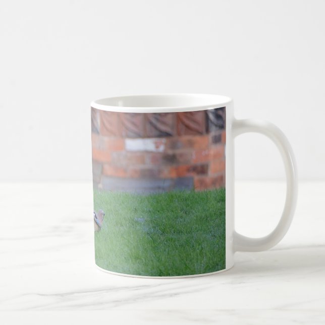 Nötskrika Kaffemugg (Höger)