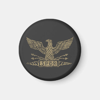 Nött romersk örn Aquila Magnet
