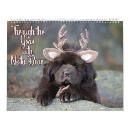 Notta Bear Genom Året Kalender