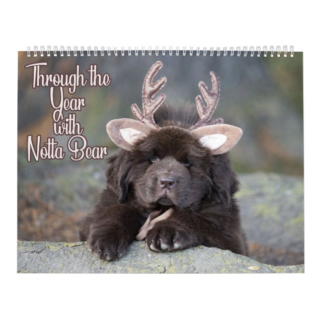 Notta Bear Genom Året Kalender (Omslag)