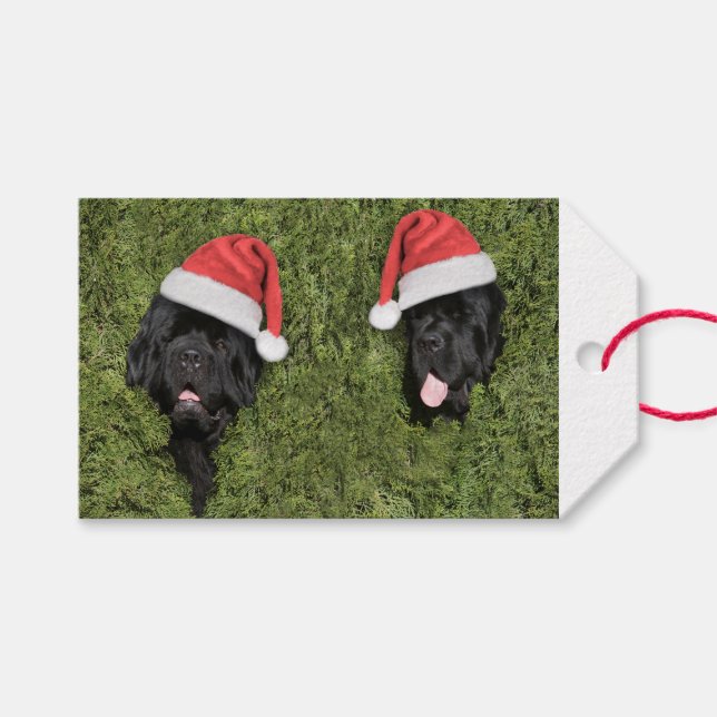 Notta Bear Luffiga Julpresentkort Presentetikett (Framsidan (Horisontell))