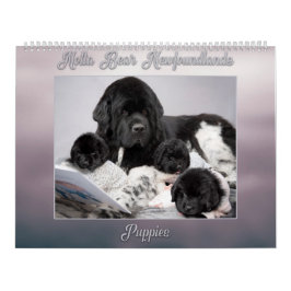 Notta Bear Newfoundlands år med valpar Kalender