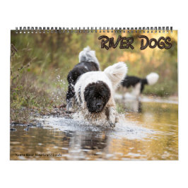 Notta Bear Newfoundlands flodhundar Kalender