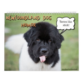 Notta Bear Newfoundlands Humor Kalender