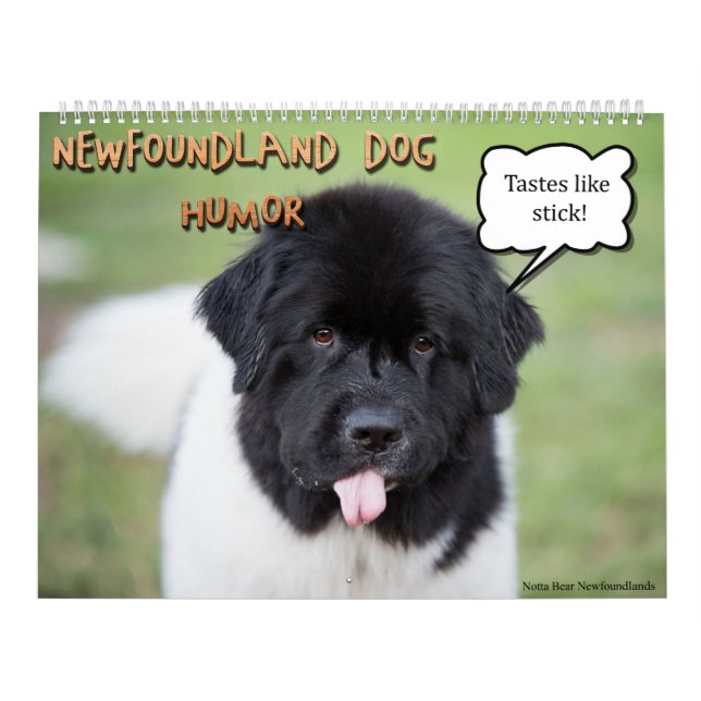 Notta Bear Newfoundlands Humor Kalender (Omslag)