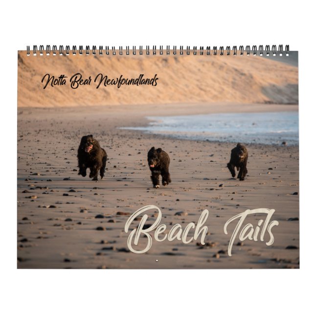 Notta Bear Newfoundlands Oregon Beach Calendar Kalender (Omslag)