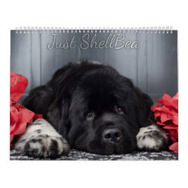 Notta Bear Newfoundlands ShellBea Kalender