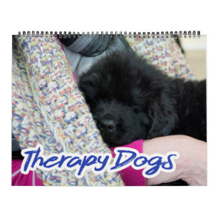 Notta Bear Newfoundlands Therapy Hundar Kalender