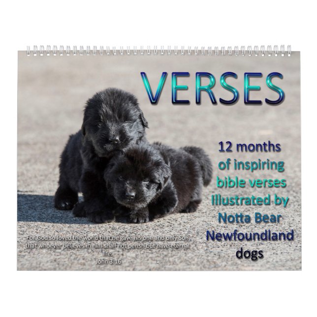Notta Bear Newfoundlands Verses Kalender (Omslag)
