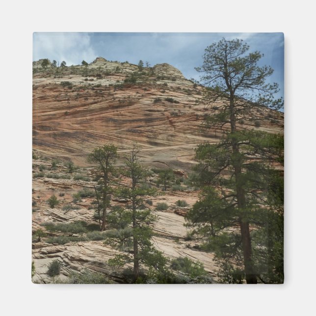 Nötta klippväggar i Zion National Park Magnet (Framsidan)