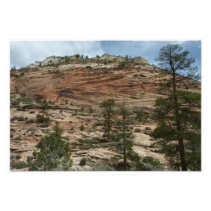 Nötta stenmurar i Zion National Park Fototryck