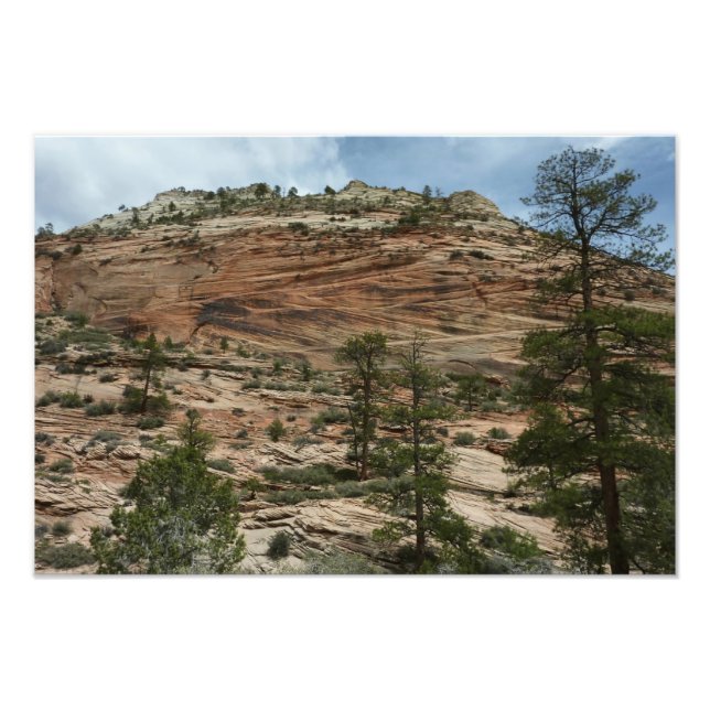 Nötta stenmurar i Zion National Park Fototryck (Framsidan)
