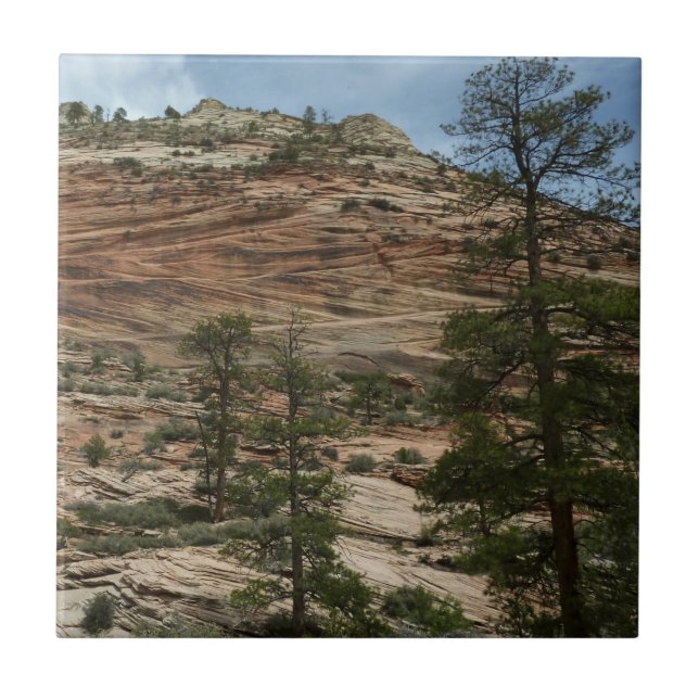 Nötta stenmurar i Zion National Park Kakelplatta (Framsidan)