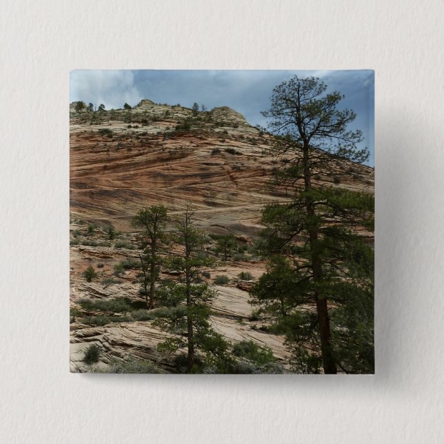 Nötta stenmurar i Zion National Park Knapp (Framsida)