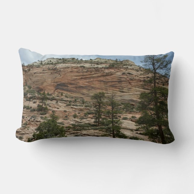 Nötta stenmurar i Zion National Park Lumbarkudde (Framsida)