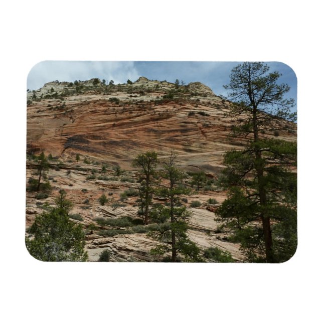 Nötta stenmurar i Zion National Park Magnet (Horisontell)