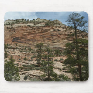 Nötta stenmurar i Zion National Park Musmatta