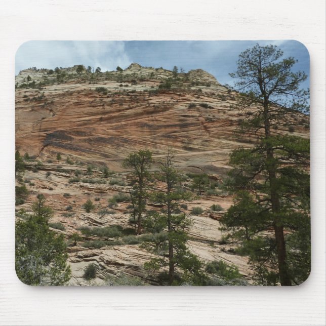 Nötta stenmurar i Zion National Park Musmatta (Framsidan)