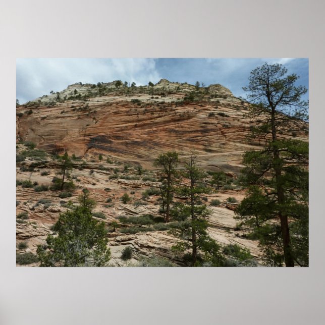 Nötta stenmurar i Zion National Park Poster (Framsidan)