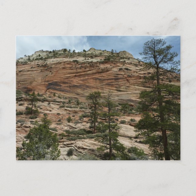 Nötta stenmurar i Zion National Park Vykort (Framsida)