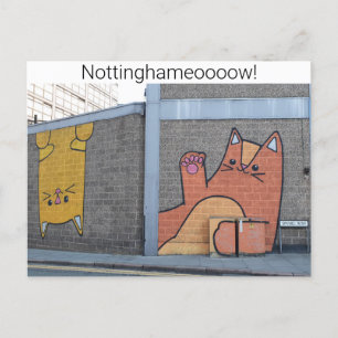 Nottingham Cats Vykort
