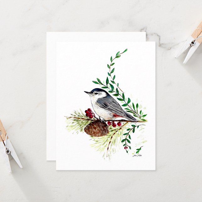 Nötväcka Vacker Akvarell Notkort (Nuthatch Beautiful Watercolor Blank Note Cards from Jenn Steffen Art)