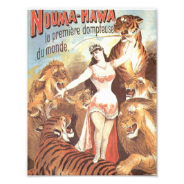 Nouma Hawas viskare till Tigers Fototryck