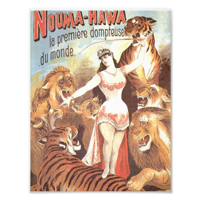 Nouma Hawas viskare till Tigers Fototryck (Framsidan)