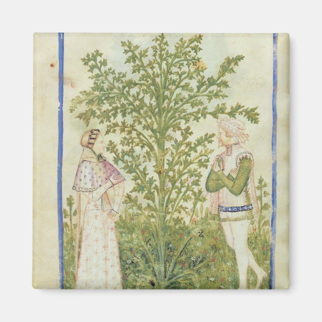 Nouv Acq Lat Celery från Tacuinum Sanitatis Magnet (Framsidan)