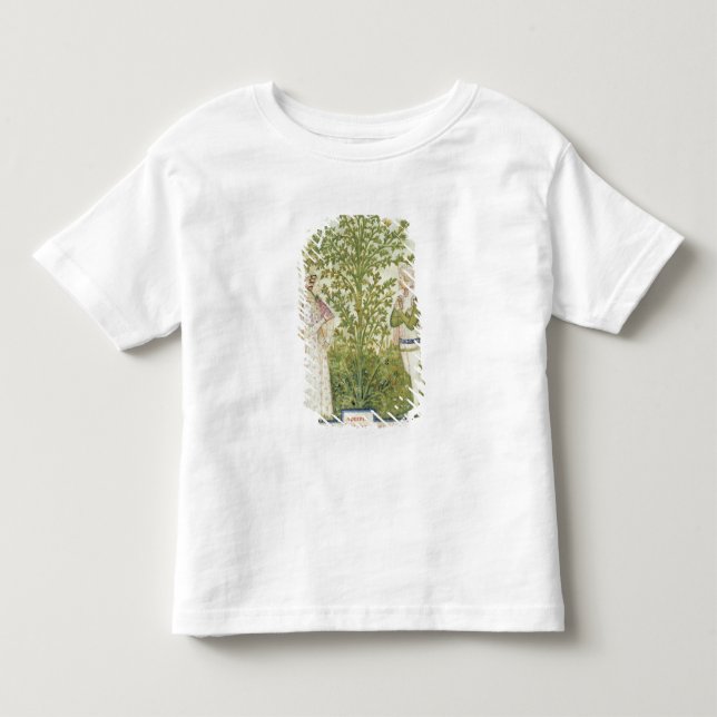 Nouv Acq Latselleri, från 'Tacuinum Sanitatis T Shirt (Framsida)