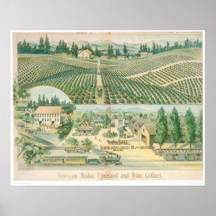 Nouveau Medoc Vineyard och Vin Cellars (1213A) Poster