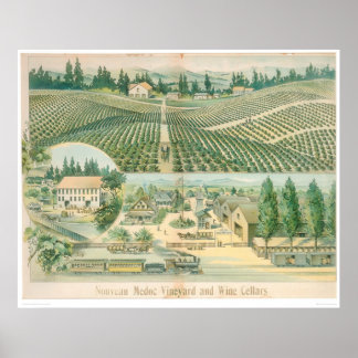 Nouveau Medoc Vineyard och Vin Cellars (1213A) Poster