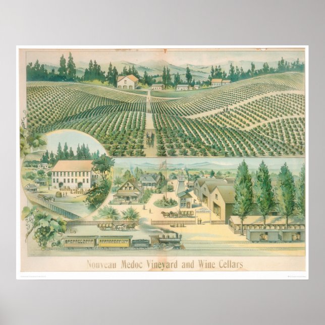 Nouveau Medoc Vineyard och Vin Cellars (1213A) Poster (Framsidan)