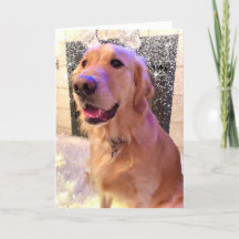 Nova Girl's Merry and Bright- Golden Retriever Hun