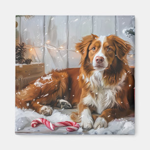 Nova Scotia Anka Toller Hund julfesten Magnet