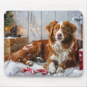 Nova Scotia Anka Toller Hund julfesten Musmatta