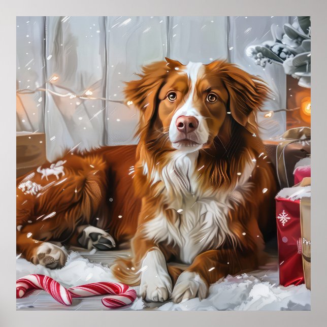 Nova Scotia Anka Toller Hund julfesten Poster (Framsidan)